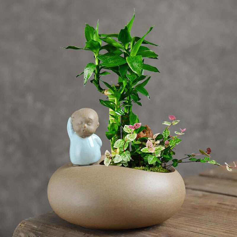 Керамический горшок в китайско – обзор и цена Bonsai Garden Art